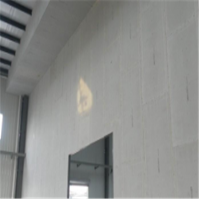 田家庵新型建筑材料掺多种工业废渣的ALC|ACC|FPS模块板材轻质隔墙板